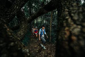 BIB: 
                            <button type="button" onclick="openModal(25676546)" class="btn btn-primary btn-sm float-right btn-popup" data-toggle="modal" data-target=".modal-high-quality">
                        <i class="fas fa-shopping-cart"></i> Add to Cart
                    </button>
                                            <button type="button" onclick="isThisMe(25676546, true)" class="btn btn-success btn-sm float-right btn-popup btn-isme hidden" data-toggle="tooltip" data-placement="bottom" title="นี่คือรูปของคุณใช่ไหม คลิกที่นี่เพื่อเอาเข้าอัลบั้ม">
                        <i class="fas fa-plus"></i> Add to album
                    </button>
                    <button type="button" onclick="isThisMe(25676546, false)" class="btn btn-warning btn-sm float-right btn-popup btn-isnotme hidden">
                        <i class="fas fa-ban"></i> Remove from album
                    </button>